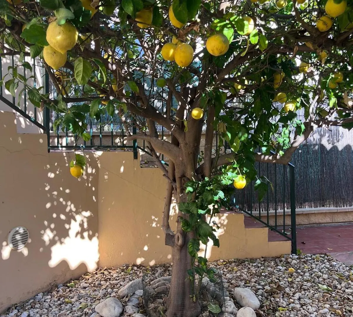 הוילה מיחאס קוסטה Casa La Riviera Del Sol בית נופש